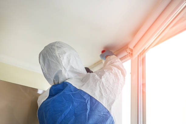 Trusted Dayton, TX Mold Removal Experts